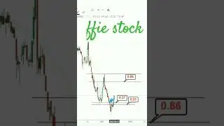 ffie stock 