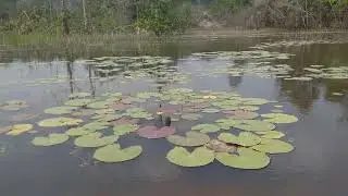 🌺PAISAGEM NA ZONA RURAL🤗