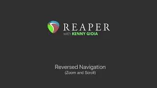 Reversed Navigation (Zoom and Scroll) in REAPER