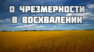 135. О чрезмерности в восхвалении ||  Ринат Абу Мухаммад