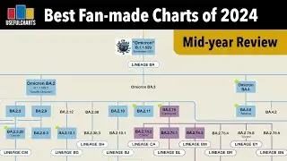 Best Fan-made Charts of 2024 - Part 1