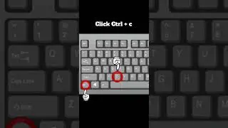 Keyboard shortcut | Copy (Ctrl + C)