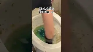Nasty Toilet Cleaning 🧽🚽
