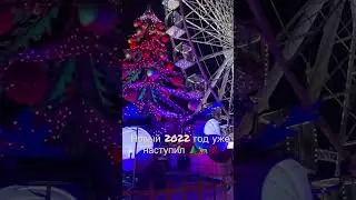 Новый 2022 год Тигра уже наступил ! Новый год 2022, год тигра, приметы, салют,  поздравление, музыка