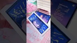 Genshin merch! 