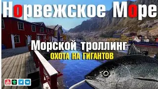 Охота на Гигантов • Троллинг • Русская Рыбалка 4 • Норвежское Море