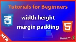 CSS Width Height Margin Padding - html5 & CSS Course - Full html5 Course for FREE
