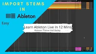 How To Import Stems Into Ableton Live