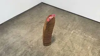 Veronica Ryan : Forgetting to Remember, 2022 | Paula Cooper Gallery
