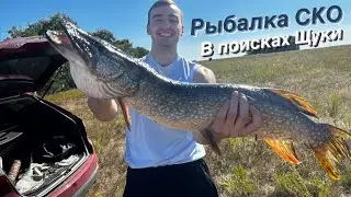 Трофейная рыбалка /Рыбалка на спиннинг 2023