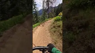 Finding Flow in the Flowers