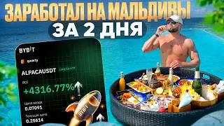 Разбор пампа Альпаки: фандинг, ликвидации, психология толпы!