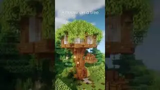 A house on a tree in 