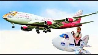 Самолет тигр . Как Настя летела в тигролете / Boeing 747-400 (EI-XLD)