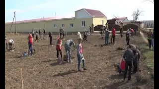 В х.Марьинском Тбилисского р-на заложили парк 