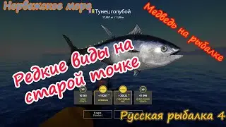 Фарм без напрягов! 