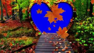 Green Screen Autumn Frame Pack