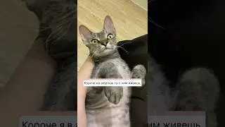 И при этом мы всё ещё дружим…