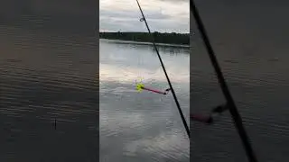 ✅Релакс🐟