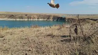 21 сентября 2024 г.