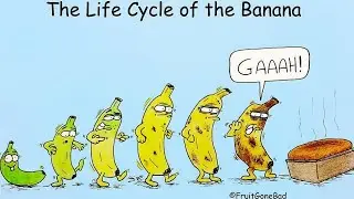 Funny And Slightly Inappropriate Comics From ‘Fruit Gone Bad’