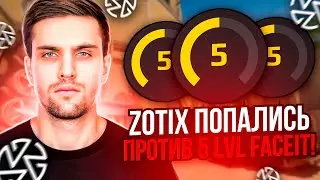 КОМАНДА INK MATE СЫГРАЛА ПРОТИВ 5 ЛВЛ FACEIT! | ZOTIX ПОПАЛИСЬ ПРОТИВ БОТОВ! 