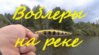 Воблеры на ЩУКУ или ЩУКА на воблеры