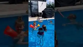 📞 8-900-233-2008 Питомник "Family Shayk" 📍 Краснодар предлагает щенков Кавалер Кинг Чарльз спаниель