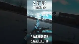 4K 2.5" Toothpick? #Newbeedrone #savagebeehd #shorts