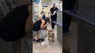 ВНИМАНИЕ !!! ОЧЕНЬ ВАЖНО !!! 