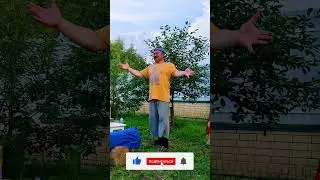 Чай, Кофе - Потанцуем 🕺