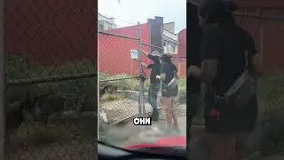 Забытый хозяином пёс не ел два дня, пока не пришла эта пара #shorts