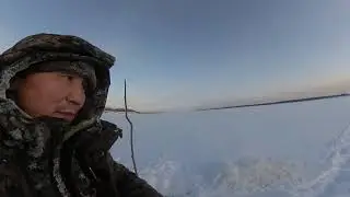 Рыбалка на реке Вилюй! Якутия! 05.11.2020г. Winter fishing in Yakutia!