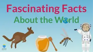 Fun Facts About the World | World Trivia