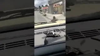 Driver encounters mouse on windshield while driving in San Miguel Zinacantepec, Mexico