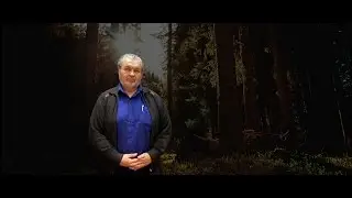 Владимир Шемшук: Практическое применение знаний по Древнему Православию