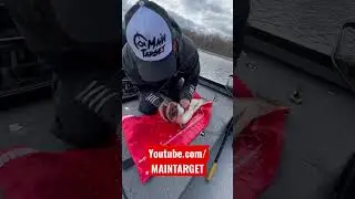 Трофейная щука на борту 