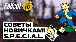 ВСЁ О СИСТЕМЕ S.P.E.C.I.A.L.! СОВЕТЫ НОВИЧКАМ! ☢️ FALLOUT 76
