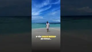 В чём смысл жизни? 