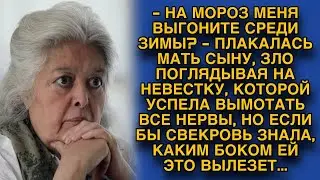 Мать плакалась сыну, а невестку тайком изводила, если бы только понимала, каким боком ей это вылезет