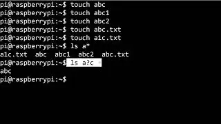 EP012 - Linux Unix Bash Commands - Globs and Filename Globbing