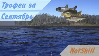 Русская рыбалка 4. Трофеи за сентябрь.