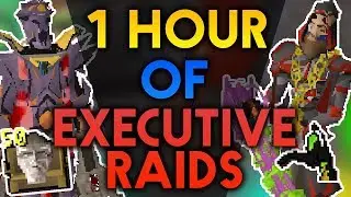 Loot From 1 HOUR OF EXECUTIVE RAIDS (GIVEAWAY) - DreamScape RSPS