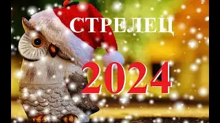 СТРЕЛЕЦ. ПРОГНОЗ на  2024 года.  ТАРО. Татьяна Шаманова