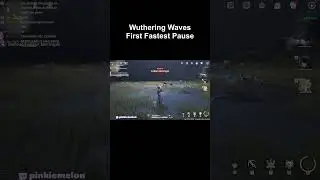 WORLD'S FASTEST PAUSE I WUTHERING WAVES 