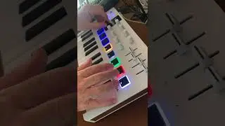 We Found Love by Rhianna (Arturia  miniLAB 3 cover)