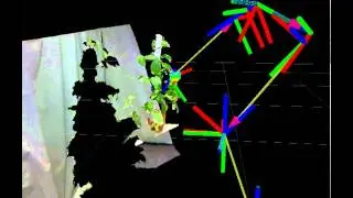 Plant leaf tracking with a Kinect camera