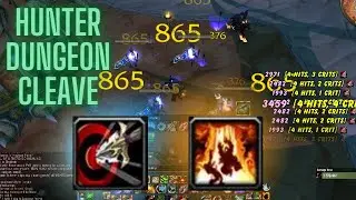 Wotlk Hunter AOE Guide 2-3k DPS Easy!!