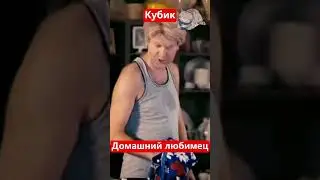 Наша Раша Сергей Беляков - Домашний любимец Кубик 