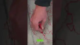Рисует вместе с муравьём 😄